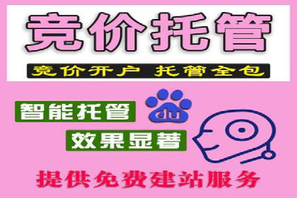 搜索引擎营销（SEM）中竞价员的角色与案例